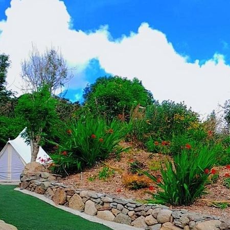 Отель Fairy Cove At Rosemount Glamping Карлингфорд Экстерьер фото