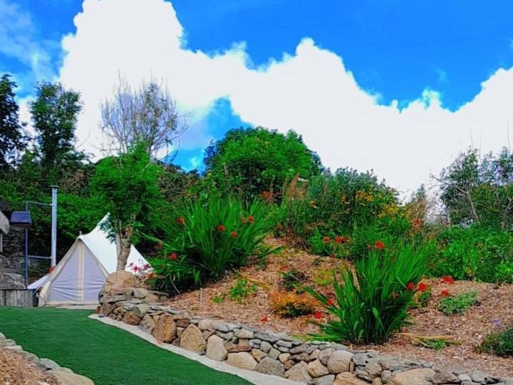 Отель Fairy Cove At Rosemount Glamping Карлингфорд Экстерьер фото